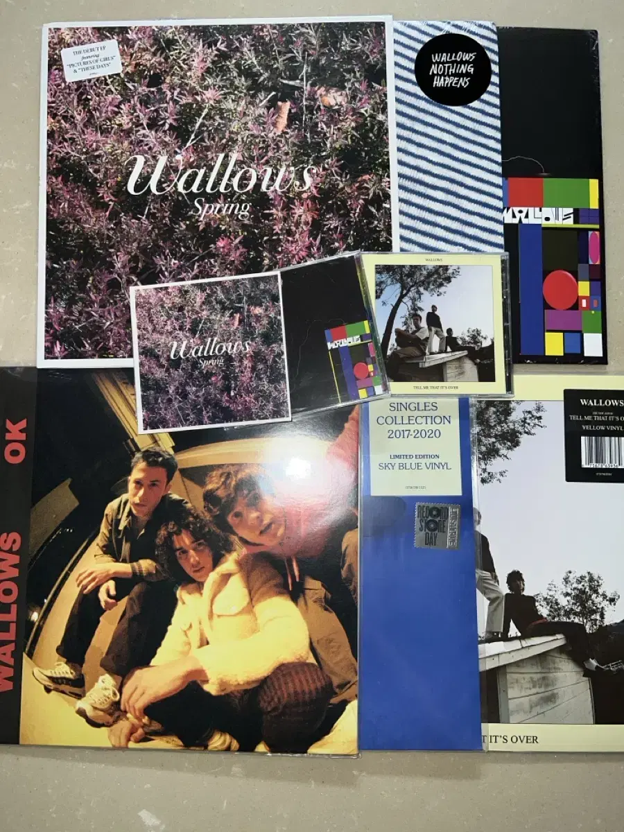 wallows 왈로우스 왈로우즈 lp 엘피 바이닐 씨디 cd